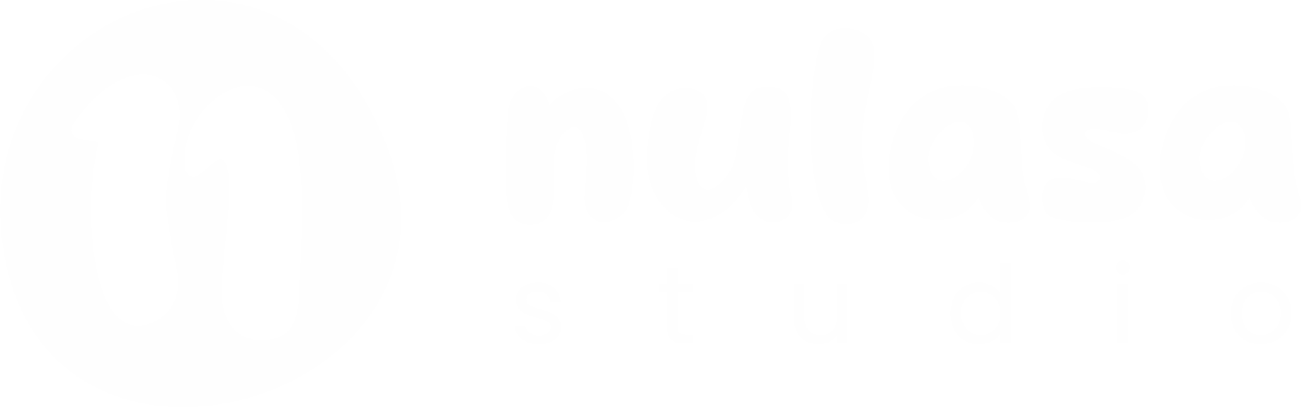 Nulasa Studio Template